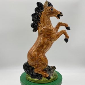 The wild horse
