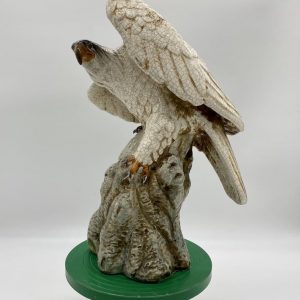 Tuscan Falcon